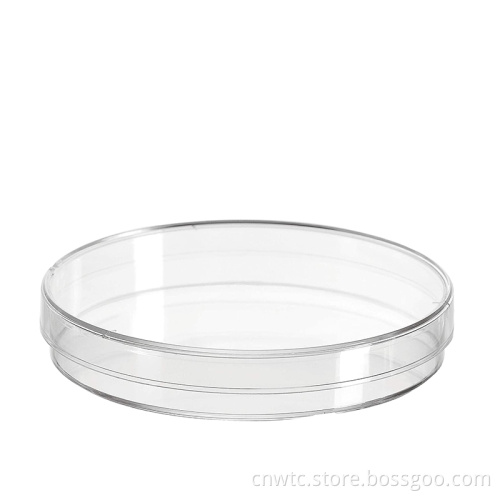 High-Quality Borosilicate Glass Petri Dishes for Laboratory Use: Ideal for Sterile Tissue Culture and Cell Cultures